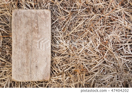 Wooden plaque on the background of a dry grass 47404202