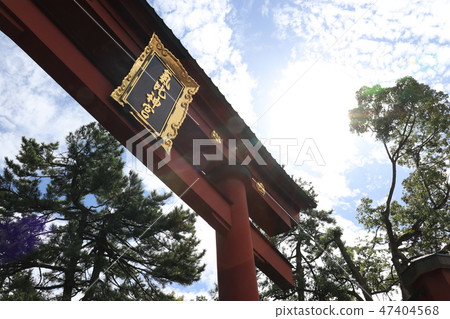 Torii lit by the sun Torii lit by the sun 47404568