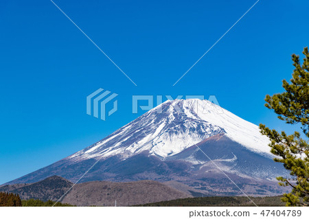 富士靜岡縣Sus野市冬天 47404789