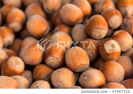 Food background of the hazelnuts Food background of the hazelnuts 47407320