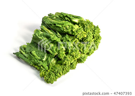 Natsuka (Nana) Natsuka (Nana) 47407393