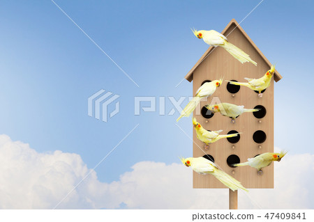 Apartments for friendly living 47409841