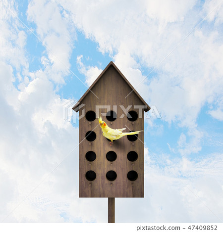 Apartments for friendly living 47409852