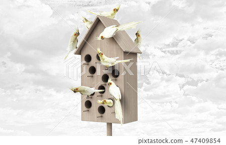 Apartments for friendly living Apartments for friendly living 47409854