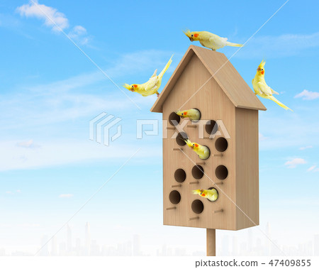 Apartments for friendly living Apartments for friendly living 47409855