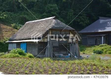 Thatched rice farmer village ryuzawa village 47410076