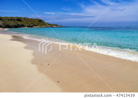 Exotic paradise Exotic paradise 47413439
