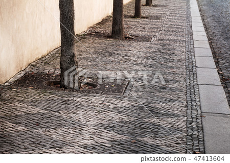 stone pavement with trees 47413604