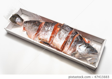 Silver salmon frozen vacuum pack 47413883