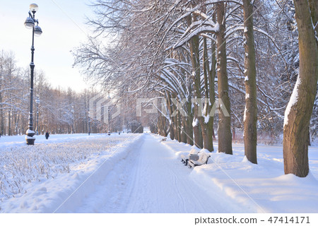 Park alley at winter. 47414171