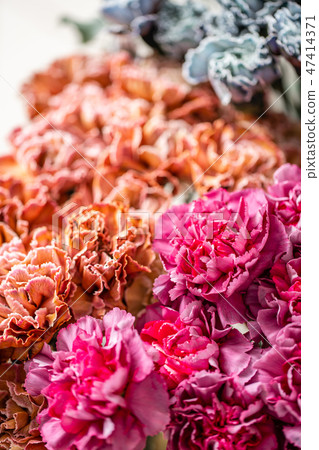 carnation flowers of different varieties and colors. Bunch pastel color. the concept of a florist in 47414371
