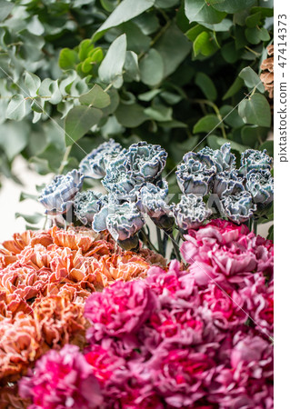 carnation flowers of different varieties and colors. Bunch pastel color. the concept of a florist in carnation flowers of different varieties and colors. Bunch pastel color. the concept of a florist in 47414373