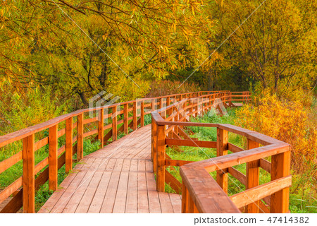 wooden bridge and a trail in an autumn empty park 47414382