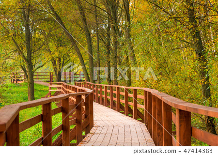 Beautiful autumn park with a wooden hiking trail Beautiful autumn park with a wooden hiking trail 47414383