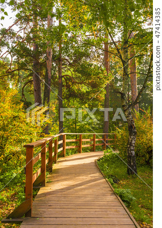 A wooden trail in an autumn park A wooden trail in an autumn park 47414385