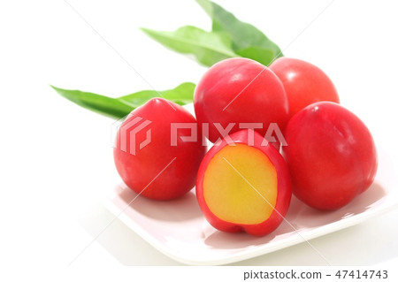 Sumo plum white background red real Multiple Sumo plum white background red real Multiple 47414743
