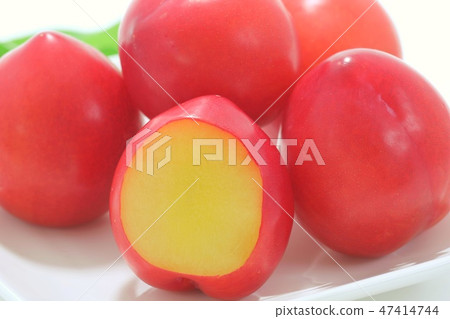 Sumo plum white background red real Multiple 47414744