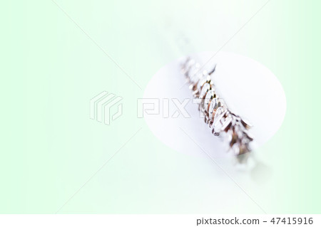 Flute (vintage) Flute (vintage) 47415916