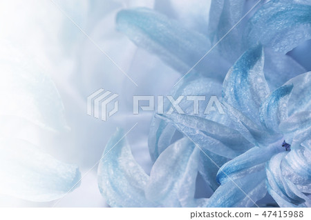 Floral light turquoise-white background. Flowers 47415988