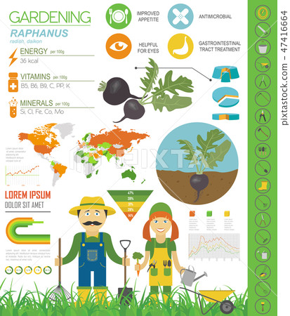 Rahpanus, daikon graphic template 47416664