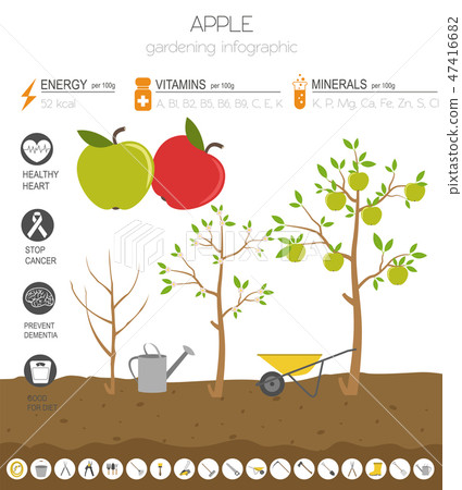 Apple beneficial features graphic template. 47416682