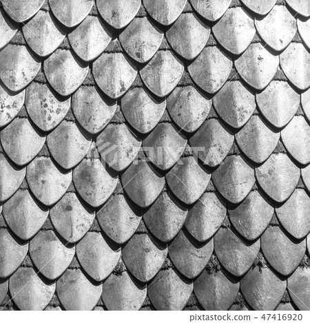 Chain armour element made of the steel plates Chain armour element made of the steel plates 47416920