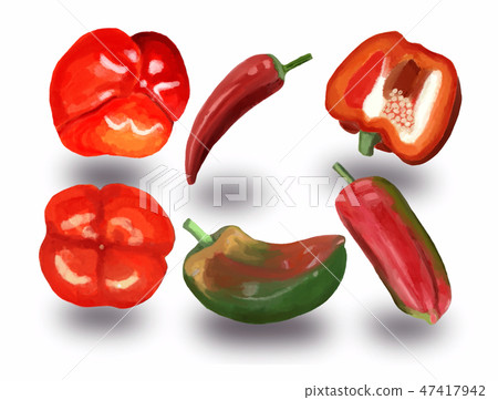 set of sweet peppers and red hot chili peppers. 47417942