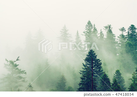 Misty mountain landscape 47418034