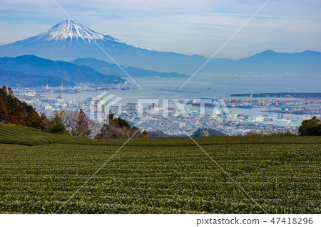 Nipporaira Shizuoka Nipporaira Shizuoka 47418296
