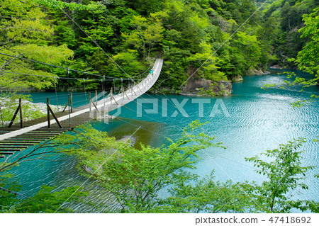 Dimensional Gorges Flying Green Dream Suspension Bridge Dimensional Gorges Flying Green Dream Suspension Bridge 47418692