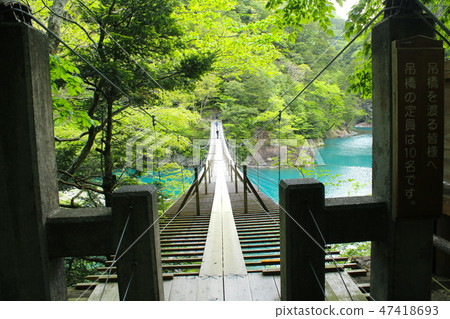 Dimensional Gorges Flying Green Dream Suspension Bridge Dimensional Gorges Flying Green Dream Suspension Bridge 47418693