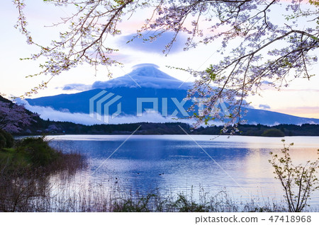 Fuji of dawn, Shizuoka Prefecture Fujinomiya City Tanuki Lake Fuji of dawn, Shizuoka Prefecture Fujinomiya City Tanuki Lake 47418968