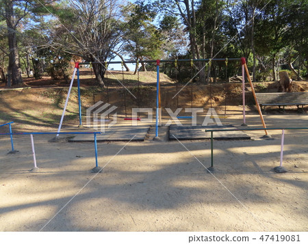 Shady swing 47419081