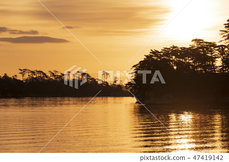 清晨松島福倉島日出朝日 清晨松島福倉島日出朝日 47419142