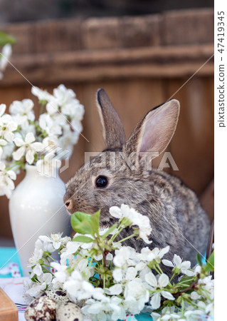 the happy easter the happy easter 47419345