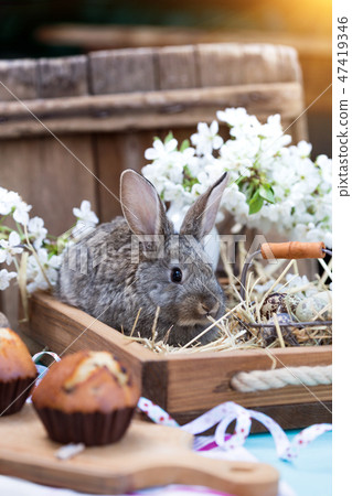 the happy easter the happy easter 47419346