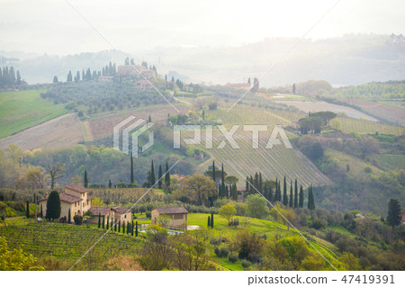 Typical Tuscan landscape Typical Tuscan landscape 47419391