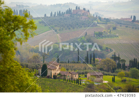 Typical Tuscan landscape 47419393