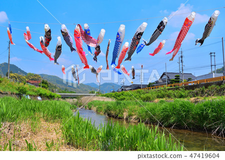 Carp streamer 47419604