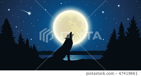 wolf howls to the full moon in a starry night 47419661