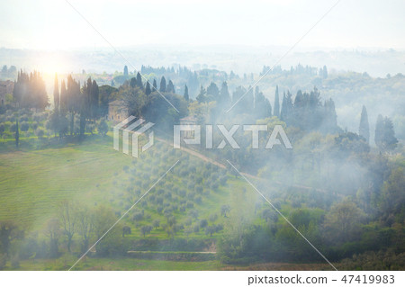 foggy morning at the Toscana foggy morning at the Toscana 47419983