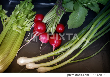 Healthy vegetables: radishes, celery and green onions. 47420169