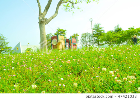 Spring voice Spring voice 47421038