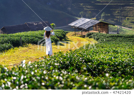 Asian woman wearing Vietnam culture traditional 47421420