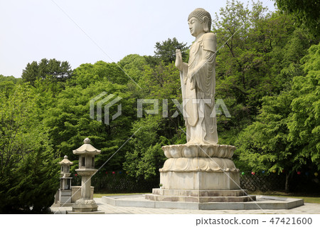 Paju City, Gyeonggi-do Paju City, Gyeonggi-do 47421600