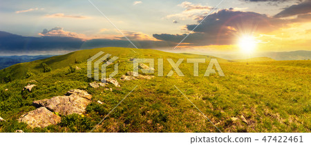 panorama of carpathian alpine meadows at sunset 47422461