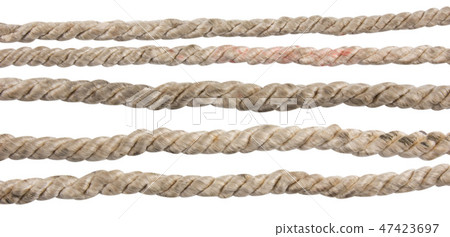 Rope Isolated 47423697