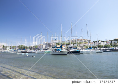 各種異 各種異 47424237