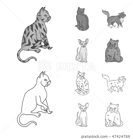 Sphinx, nibelung,norwegian forest cat and other species. Cat breeds set collection icons in outline Sphinx, nibelung,norwegian forest cat and other species. Cat breeds set collection icons in outline 47424789