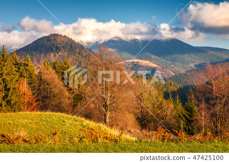 Autumn landscape in The Velka Fatra mountain range Autumn landscape in The Velka Fatra mountain range 47425100